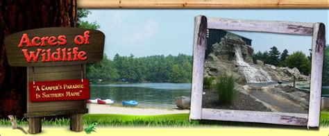 Maine Wildlife Campground: Acres of Nature & Adventure