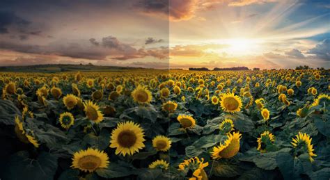 Image result for LED Display Layout