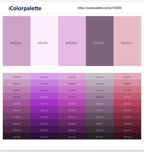 Lilac Color Vs Lavender