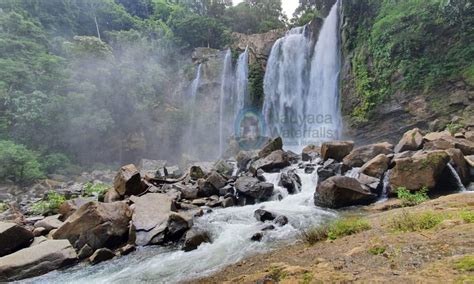 NAUYACA WATERFALLS / CATARATAS NAUYACA (2026) All You Need to Know ...