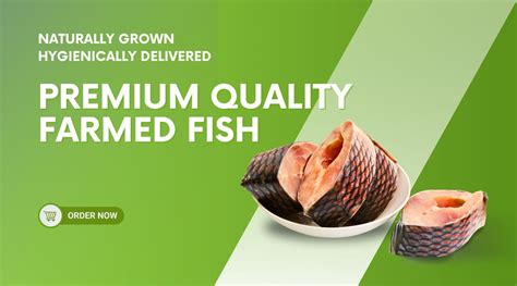 Mission to build a Transparent & Traceable Fish Food Chain – Vridhi ...