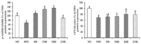 Anti-Obesity Effect of Erigeron annuus (L.) Pers. Extract Containing ...