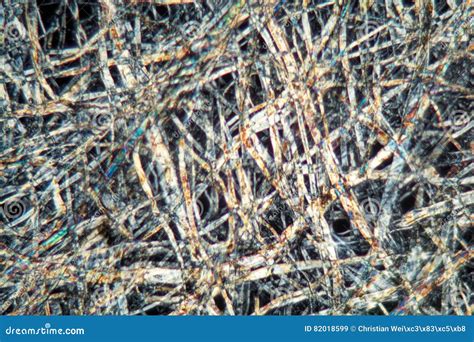 Paper Under Electron Microscope at Leo Brodbeck blog