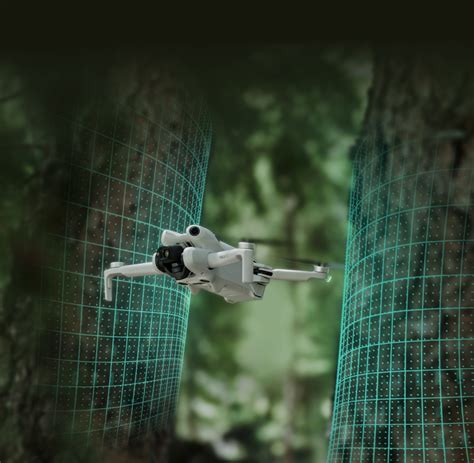 DJI Mini 4 Pro Setup 的图像结果