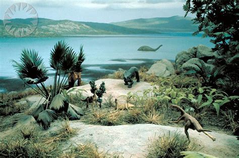 The discovery of the ‘First Plant’ | The Vintage News