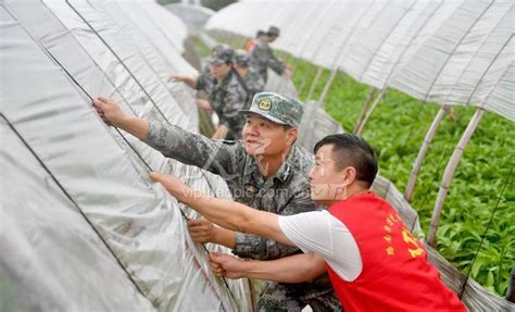 浙江台州：台风来袭 志愿者助农抢收蔬菜-人民图片网