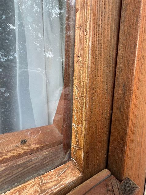 Image result for How to Restore Window Timber Frame