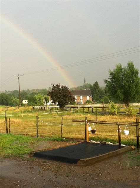 Ein Sicherer Platz für die Katz Katzen in Osterburg | Tiere | Kleinanzeigen