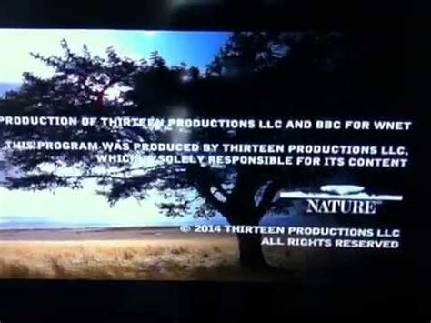 Image result for WNET Thirteen Logo History