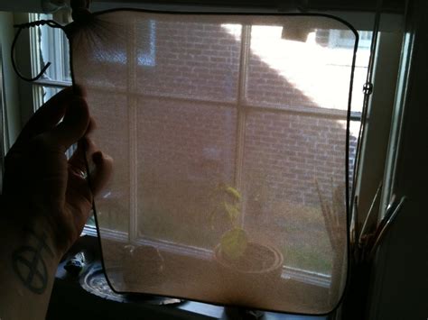 Image result for Papermaking at Home