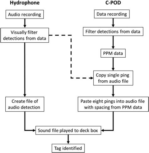 Programmation Decode 的图像结果