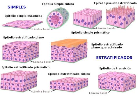 Image result for Simultaneous Localization and Mapping