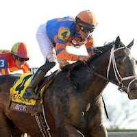 Education for Horse Racing Bettors & Handicappers | TwinSpires