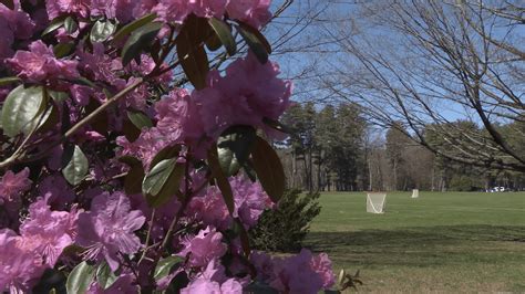 Springfield Mass Weather 的图像结果