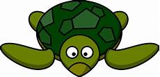 Turtle Clipart by Turtle Clipart Clipart Panda Free Clipart Images Turtle Clipart