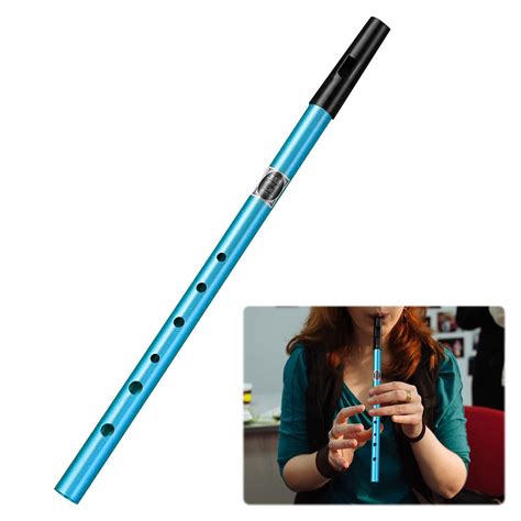 Tin Whistle,Tin Whistle D,D Tin Whistle for Easy to Play Musical ...