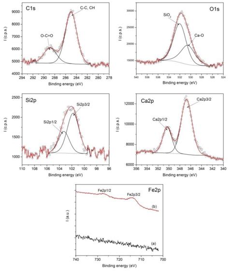 Novel Magnetic Composite Materials for Dental Structure Restoration ...