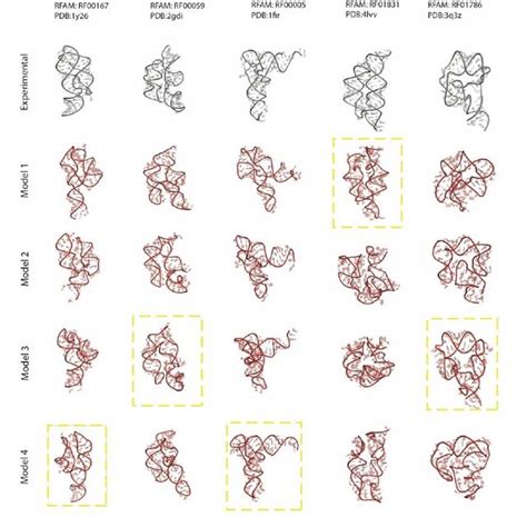 RNA Model 的图像结果