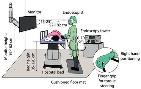 Musculoskeletal Injuries in the Endoscopy Practitioner Risk Factors ...