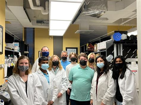 Kroll Tutorial 的图像结果