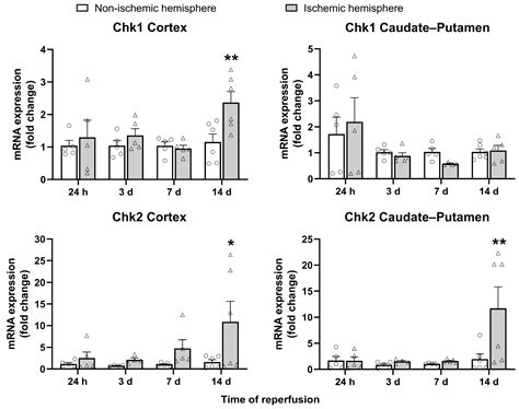 Spatio-Temporal Characterization of Cellular Senescence Hallmarks in ...