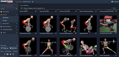 Image result for Muscle and Motion.com