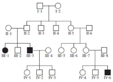 Image result for Simple Mendelian Inheritance Examples