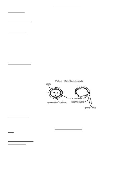 Biology Practical 2023-24 - EXPERIMENT No.- 1 OBJECTIVE To prepare a ...