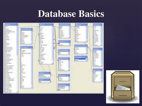 Database Basics 的图像结果
