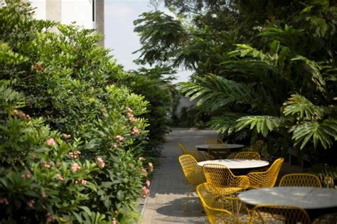 Landscape remediation in Bengaluru - Topos Magazine