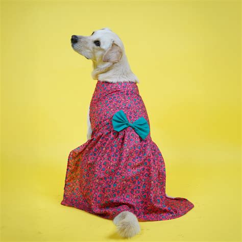 Buy Skatrs Bold Fuchsia Printed Dress for Dogs and Cats (Pink) online ...