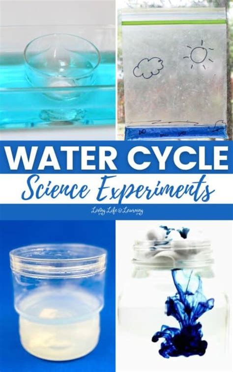 Image result for Water Cycle Science Experiment