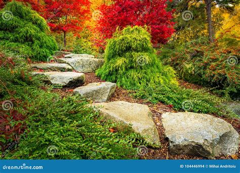 Kubota Garden, Seattle Washington State Stock Photo - Image of outdoor ...