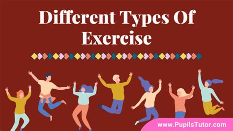 Different Exercise Types 的图像结果