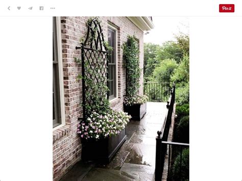 Wrought Iron Window Boxes for a Rugged Garden