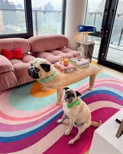This Indian creator’s ‘dopamine decor’ home is the best use of adult ...