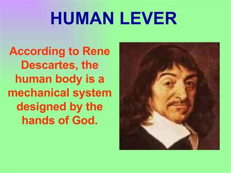 Image result for Equilibrium Physics Examples