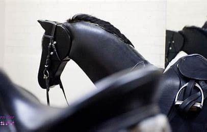 Mechanical Horse Lessons MAY, Amelia Wilbourn - Balanced Awareness for ...