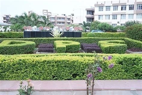 Petition · Retain Mr. Sunil Bhalla as the Principal of DPS, Gwalior ...