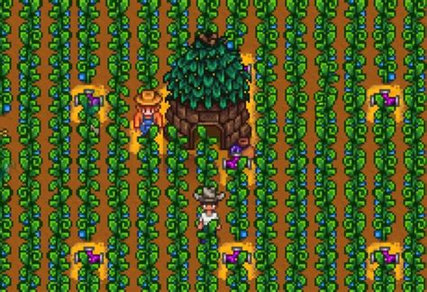 Ancient Seed Stardew Valley Guide: From Humble Beginnings - SDew HQ