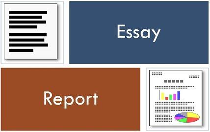 Image result for Essay Paper Report