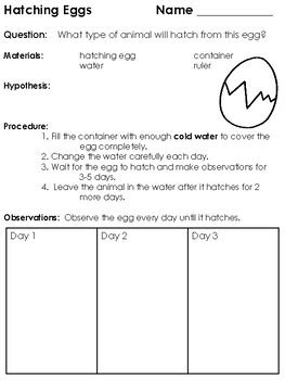Hatching Growing Animals from Eggs Science Lab and Scientific Method ...