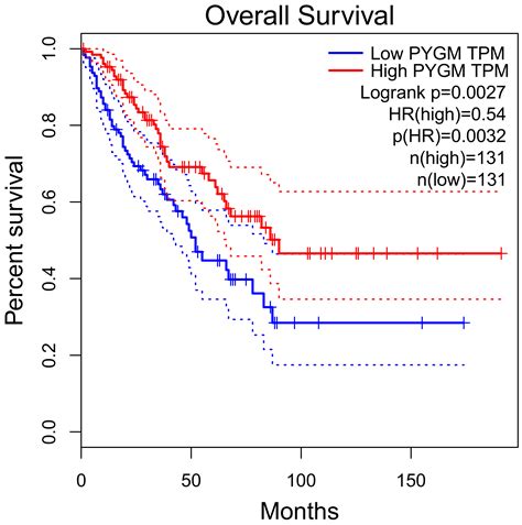 Muscle Glycogen Phosphorylase and Its Functional Partners in Health and ...