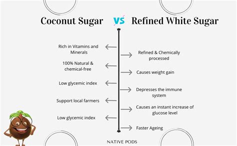 Native Pods Organic Coconut Sugar 400gm - Pure & Natural Coconut ...