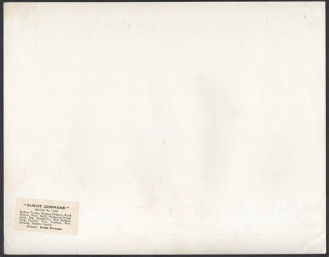 Image result for Flying Command