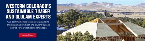 Buy Timber Logs Colorado