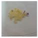 Controlled Release, Disintegration, Antioxidant, and Antimicrobial ...