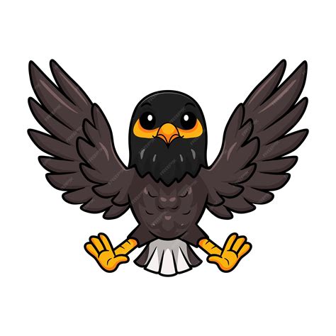 Image result for Maina Maina Cello