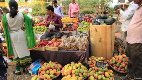 Social entrepreneurship for sustainable farming in India