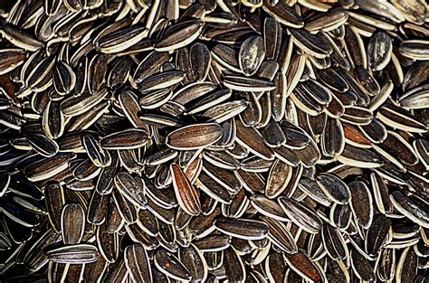 Seed Bead Spider Patterns 的图像结果